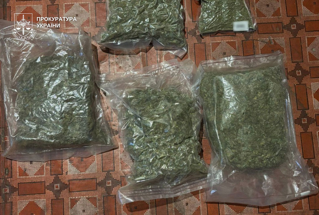 В суд направлено дело в отношении жителя Каменского, у которого обнаружено 8 кг каннабиса В суд направлено дело в отношении жителя Каменского, у которого обнаружено 8 кг каннабиса