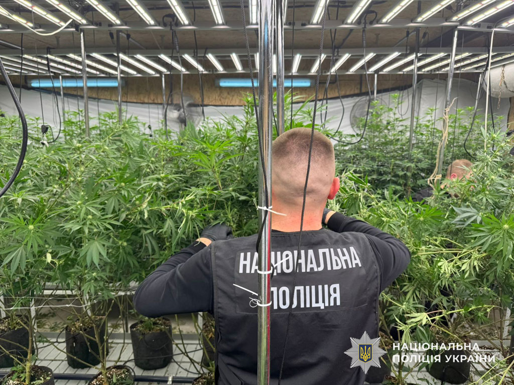 Оборудовал ангар под нарколабораторию: в Днепре полицейские разоблачили мужчину на масштабном выращивании конопли Оборудовал ангар под нарколабораторию: в Днепре полицейские разоблачили мужчину на масштабном выращивании конопли