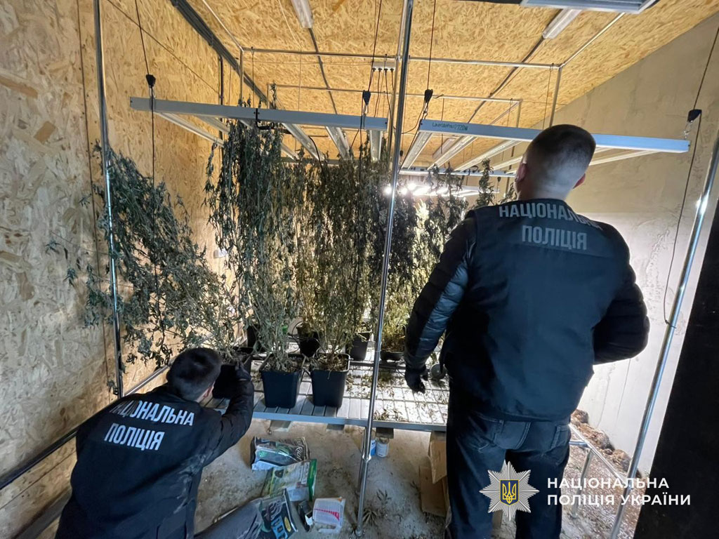 Оборудовал ангар под нарколабораторию: в Днепре полицейские разоблачили мужчину на масштабном выращивании конопли Оборудовал ангар под нарколабораторию: в Днепре полицейские разоблачили мужчину на масштабном выращивании конопли