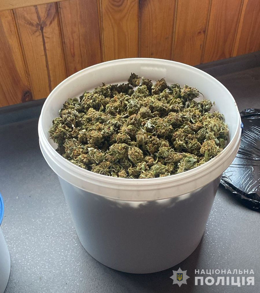 ���������� ���� ����������� � ������ � � ������ ����������� 6 ���������� �����������