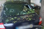 ���� �������� ��� ������ ���������������� �������: ������� �������� �� ������ � ������������� ����������� ��������� ������