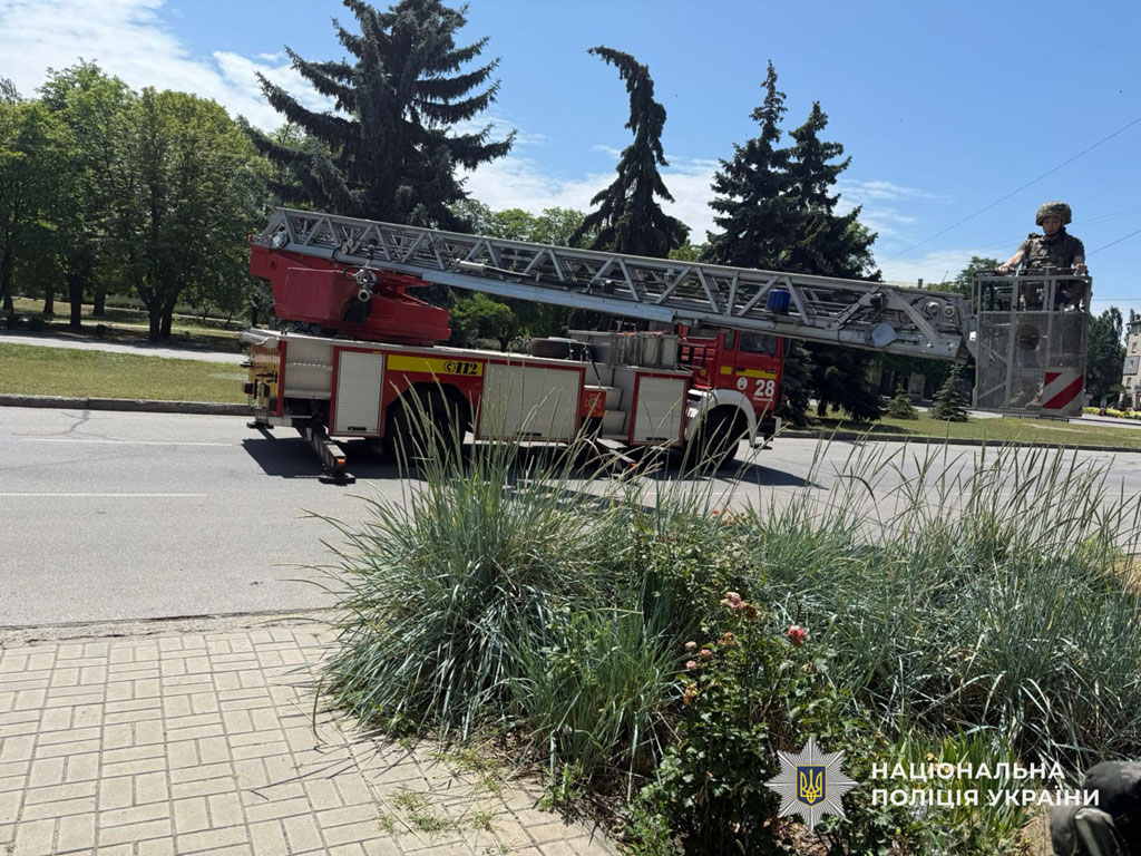 В Никополе полицейские обезвредили дрон со взрывчаткой, застрявший на елке В Никополе полицейские обезвредили дрон со взрывчаткой, застрявший на елке