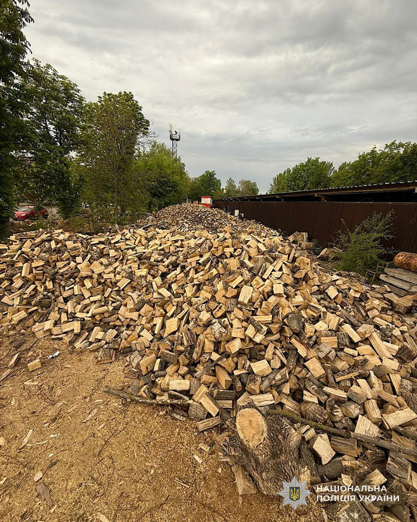 Незаконно вырубили лес почти на 2 миллиона гривен: оперативники криминальной полиции Днепропетровской области прекратили деятельность организованной преступной группы Незаконно вырубили лес почти на 2 миллиона гривен: оперативники криминальной полиции Днепропетровской области прекратили деятельность организованной преступной группы