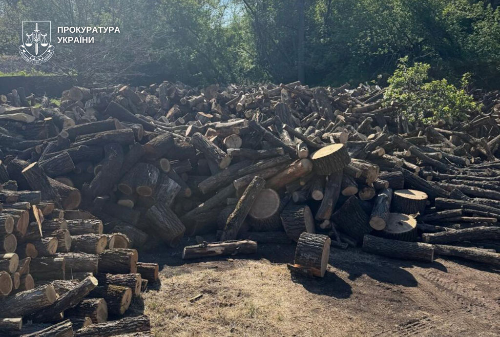 Трое жителей Днепропетровщины будут судить из-за незаконных рубок: ущерб государству составляет почти 1,3 млн грн Трое жителей Днепропетровщины будут судить из-за незаконных рубок: ущерб государству составляет почти 1,3 млн грн