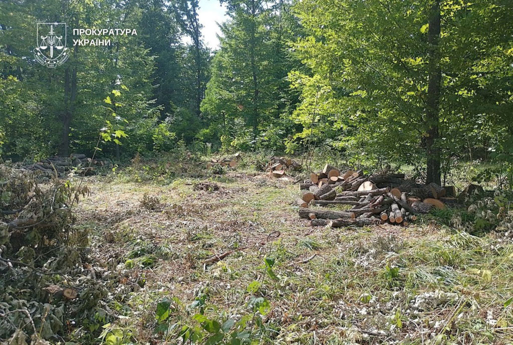 В Днепропетровской области ГБР передало в суд дело бывшего руководителя лесхоза, из-за которого уничтожили деревьев почти на 7 млн. грн. В Днепропетровской области ГБР передало в суд дело бывшего руководителя лесхоза, из-за которого уничтожили деревьев почти на 7 млн. грн.