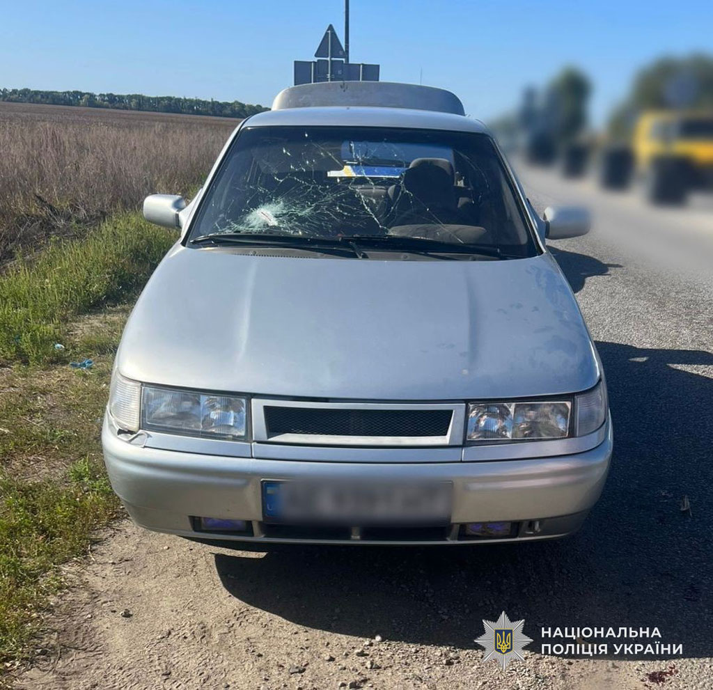 На Днепропетровщине в результате российских атак погибла пожилая женщина, еще четыре человека получили ранения: полиция документирует последствия очередного военного преступления На Днепропетровщине в результате российских атак погибла пожилая женщина, еще четыре человека получили ранения: полиция документирует последствия очередного военного преступления
