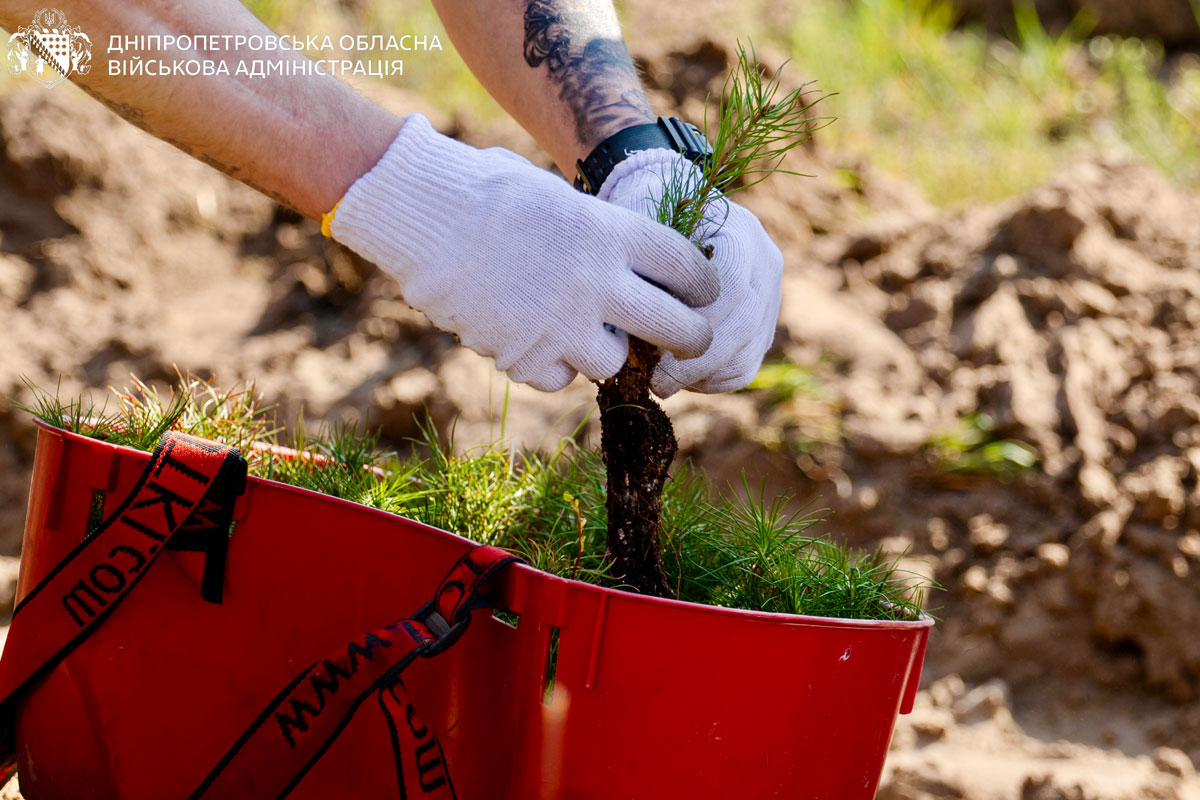 �� ���������������� �������� ����� ������: ������ �������� � ����� �������� ����������