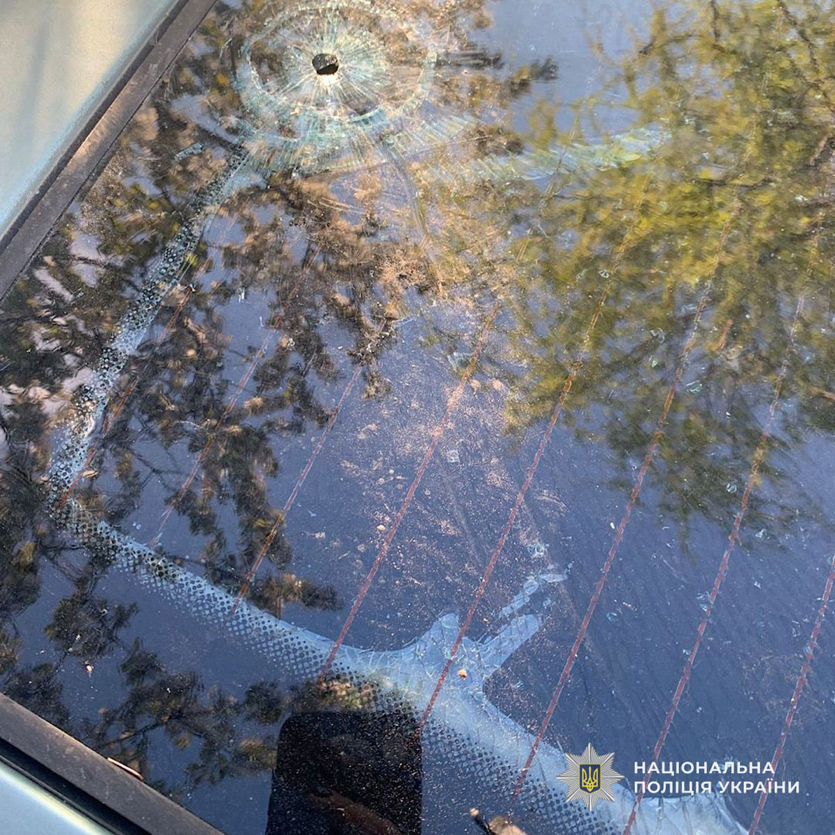 ���������� ��������� ���������������� ������� �� ����� 20 ������ 2026: ������� ����, �������� � �������