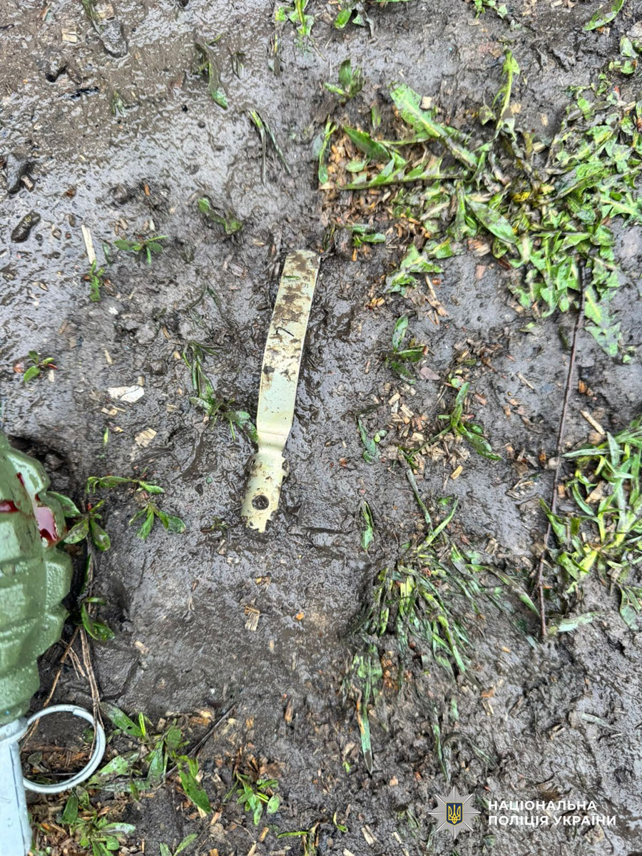 ����� ������� � ��������������� ������: ������ �����������, ���������� ��������