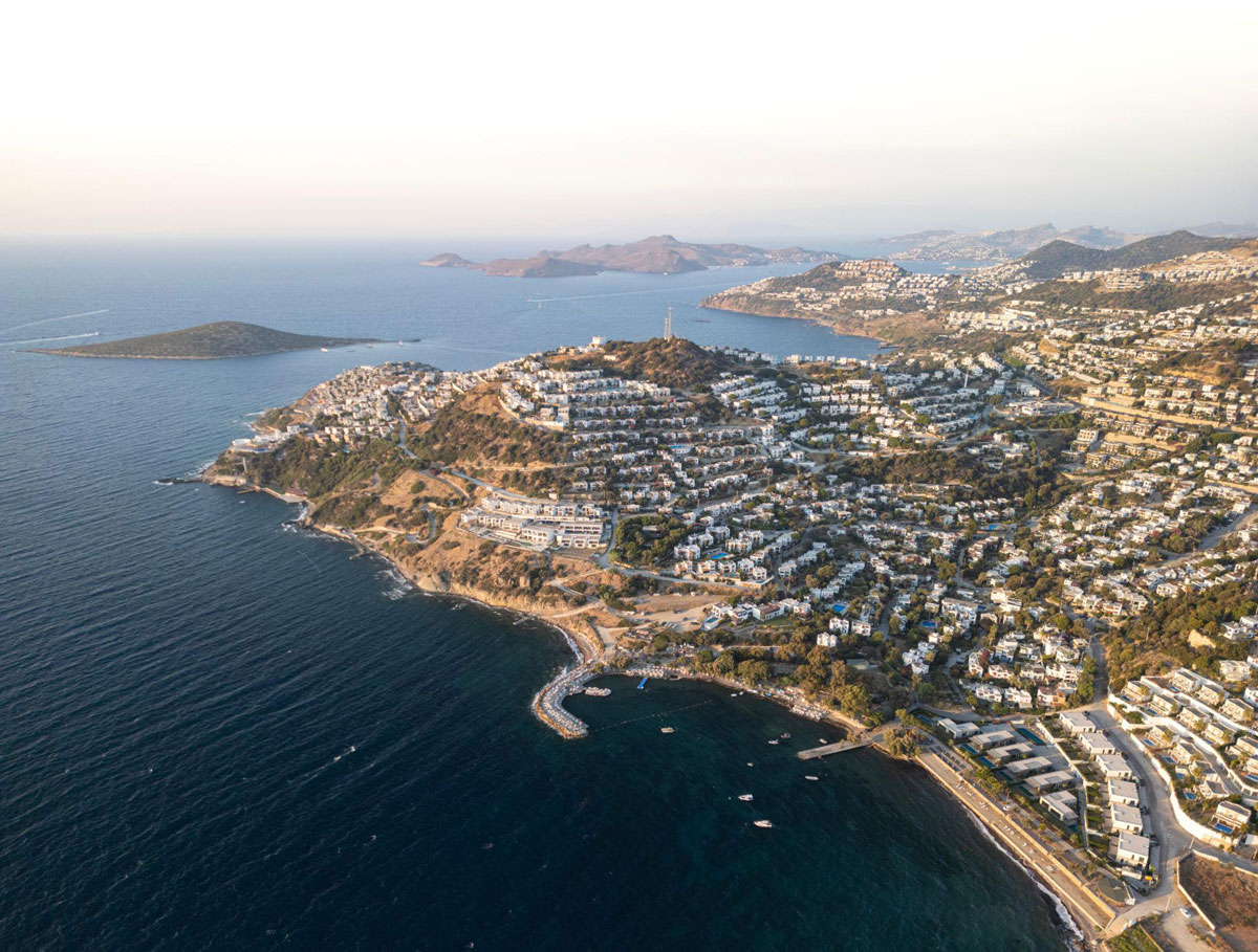 ���� �� ���������� ���������: ������