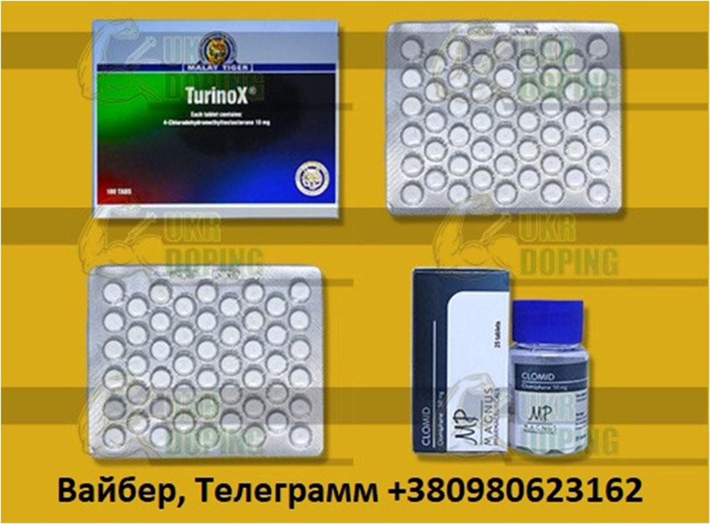 Где можно заказать курс Туринабола на массу Где можно заказать курс Туринабола на массу