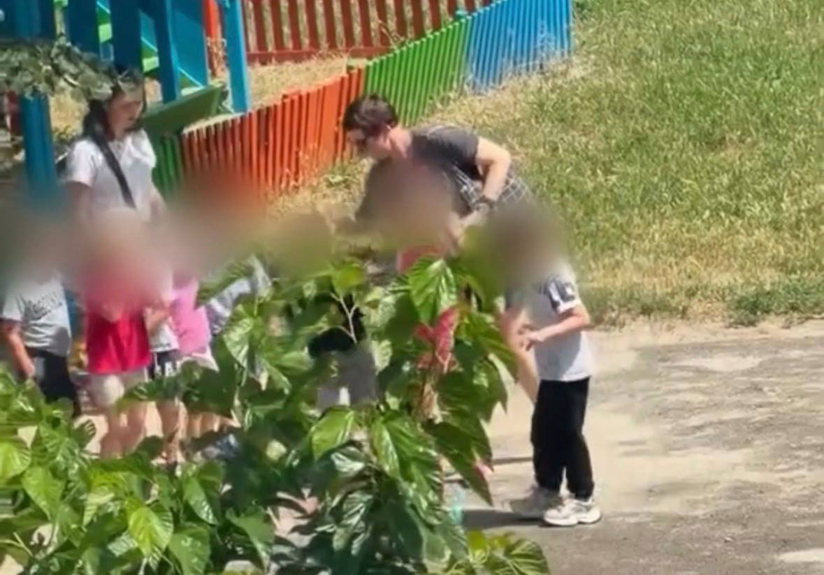 В Кривом Роге проверяют возможное жестокое обращение с детьми в частном центре развития: воспитательницу отстранили, полиция проводит расследование В Кривом Роге проверяют возможное жестокое обращение с детьми в частном центре развития: воспитательницу отстранили, полиция проводит расследование