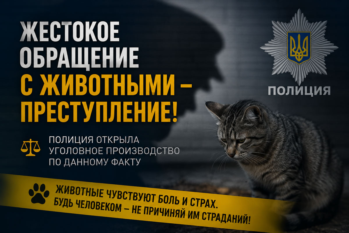 В Павлограде полиция открыла уголовное производство по факту жестокого обращения с животным В Павлограде полиция открыла уголовное производство по факту жестокого обращения с животным
