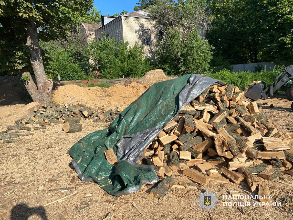 На Днепропетровщине разоблачили группу «черных лесорубов»: ущерб государству приблизился к 700 тысячам гривен На Днепропетровщине разоблачили группу «черных лесорубов»: ущерб государству приблизился к 700 тысячам гривен