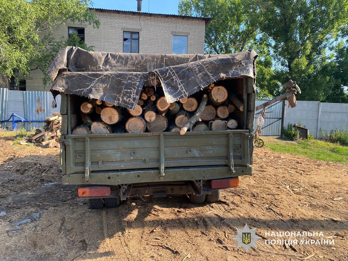 На Днепропетровщине разоблачили группу «черных лесорубов»: ущерб государству приблизился к 700 тысячам гривен На Днепропетровщине разоблачили группу «черных лесорубов»: ущерб государству приблизился к 700 тысячам гривен