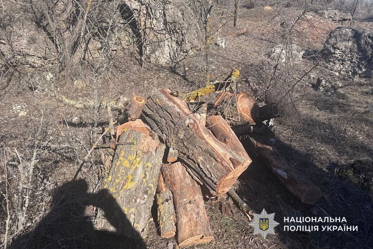 � ������������ ������ ����������� ���������� ������� �������� � ���������� ����: ����� �������� 600 ����� ������