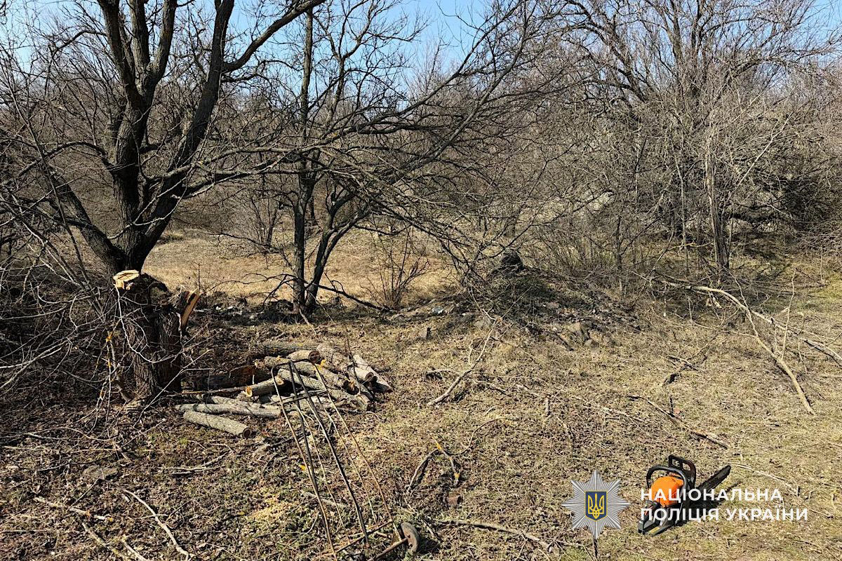 � ������������ ������ ����������� ���������� ������� �������� � ���������� ����: ����� �������� 600 ����� ������