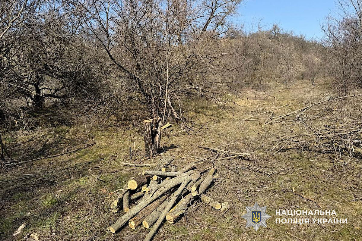 � ������������ ������ ����������� ���������� ������� �������� � ���������� ����: ����� �������� 600 ����� ������