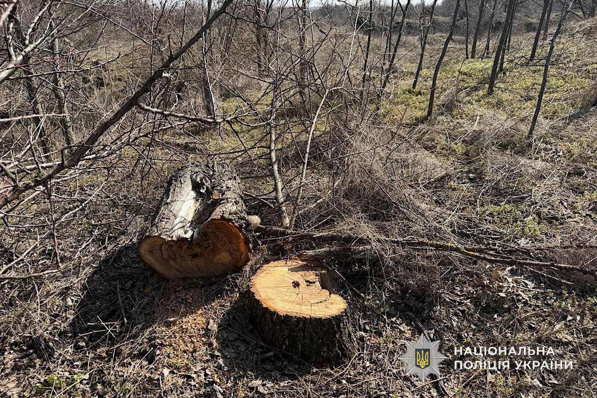 � ������������ ������ ����������� ���������� ������� �������� � ���������� ����: ����� �������� 600 ����� ������