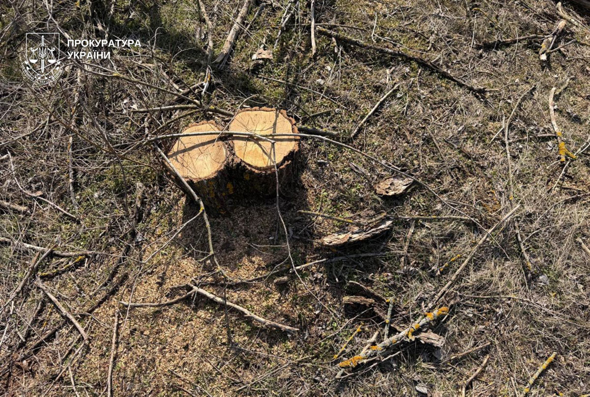 � ������������ ������ ����������� ���������� ������� �������� � ���������� ����: ����� �������� 600 ����� ������