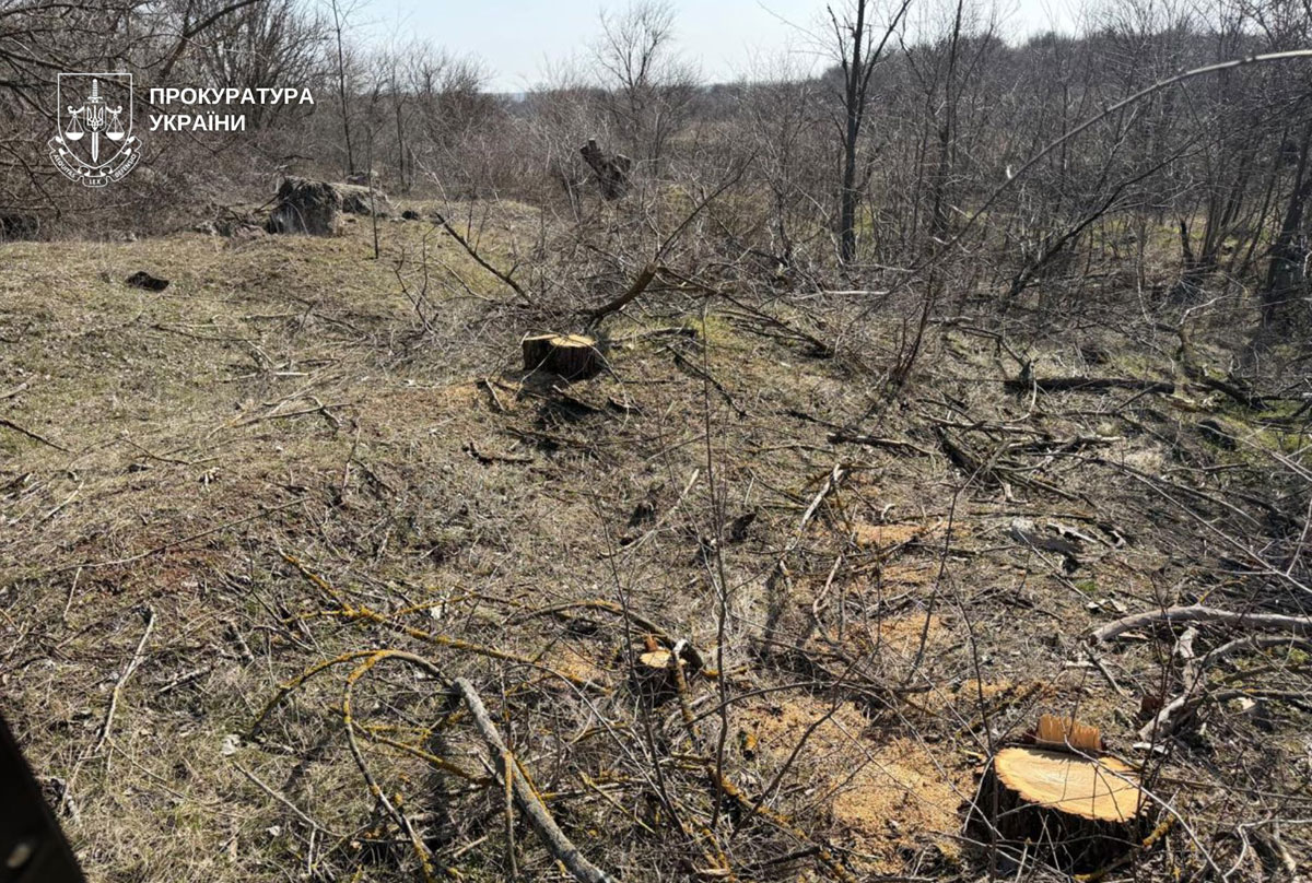 � ������������ ������ ����������� ���������� ������� �������� � ���������� ����: ����� �������� 600 ����� ������