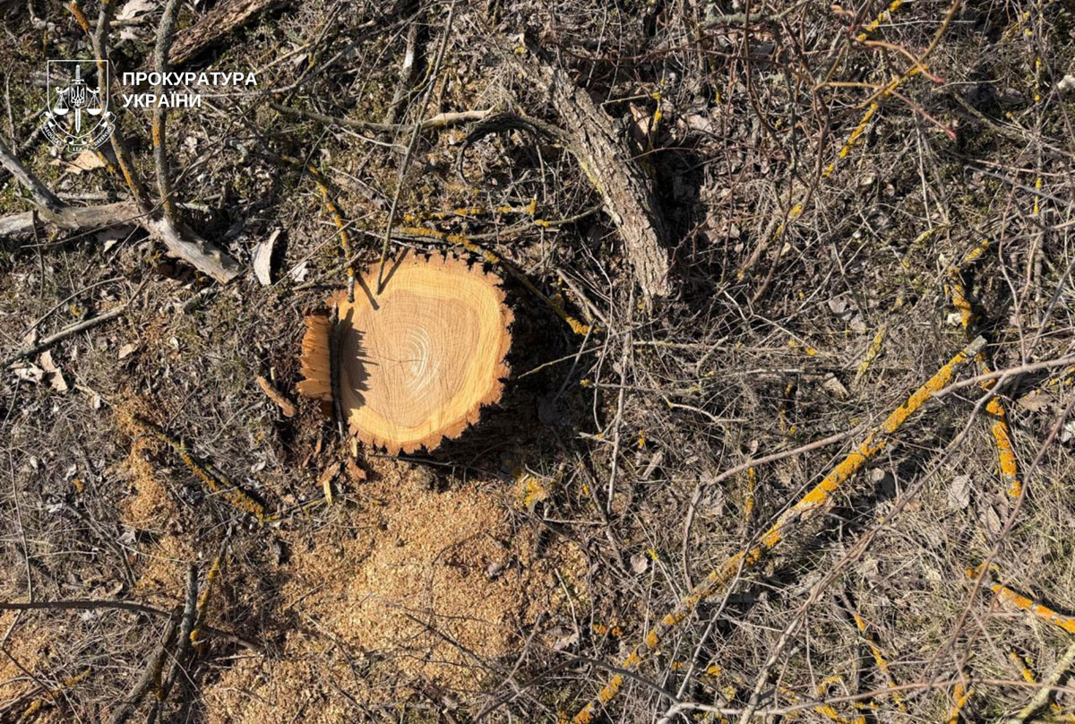 � ������������ ������ ����������� ���������� ������� �������� � ���������� ����: ����� �������� 600 ����� ������