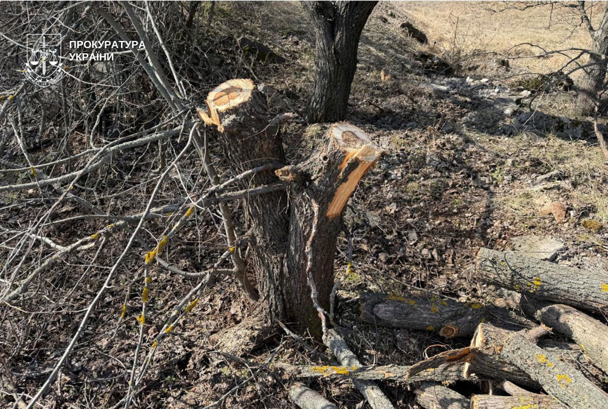 � ������������ ������ ����������� ���������� ������� �������� � ���������� ����: ����� �������� 600 ����� ������