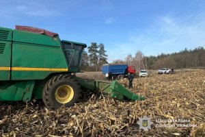 ����������� ������� �����: ����������� ���������������� �������� � ���������� ���������������