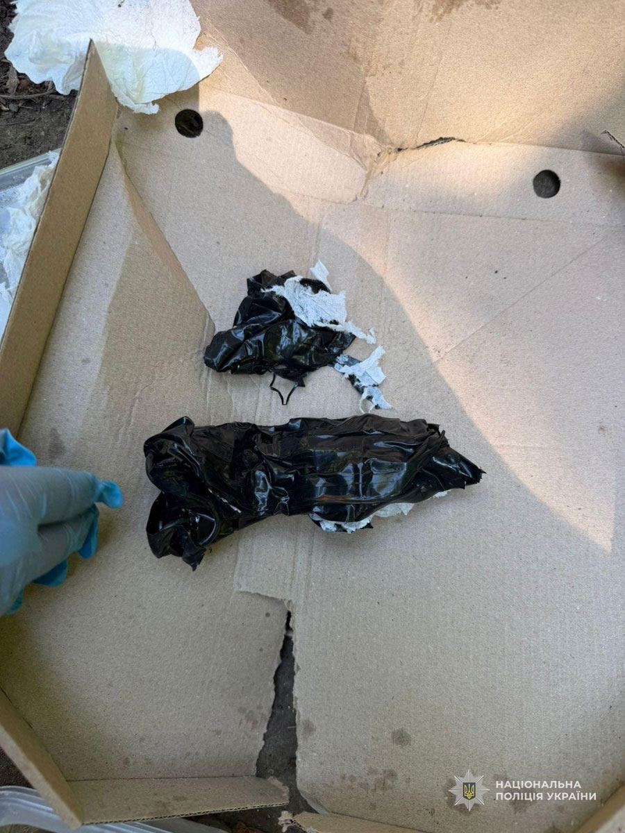 � ������ ��������� ������������� � ������� ���������� ��������������� ���: ��� �������� � �������