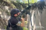 � ������������ �������� ����������� ������������ ������ ��������� ������� ��������� ����