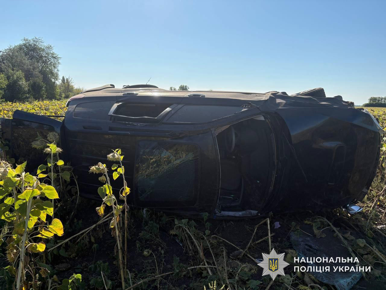 Смертельное ДТП на трассе М-30 под Днепром: полиция задержала водителя Ford Focus Смертельное ДТП на трассе М-30 под Днепром: полиция задержала водителя Ford Focus
