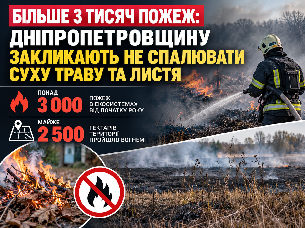 Более 3 тысяч пожаров: Днепропетровщину призывают не сжигать сухую траву и листья Более 3 тысяч пожаров: Днепропетровщину призывают не сжигать сухую траву и листья