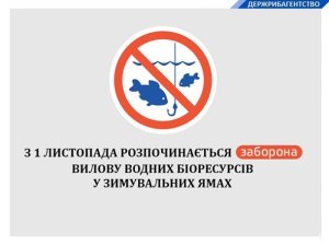 � ���������������� ������� ��������� ������ ���� ����� ����������� ��