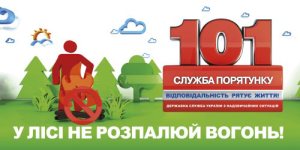 � 2019 ���� � ����� ���������������� ��������� ��� 20 �������