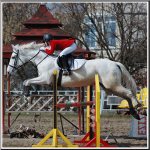 ������ �������� ���������������